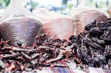 Dried Peppers &x28;2 Of 2&x29; Royalty Free Stock Photography Dried Peppers &x28;2 Of 2&x29; Royalty Free Stock Photography