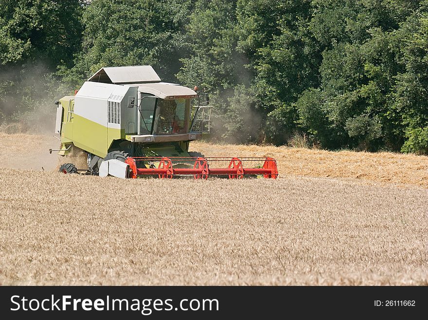 Harvester in action in a wheat field. Harvester in action in a wheat field