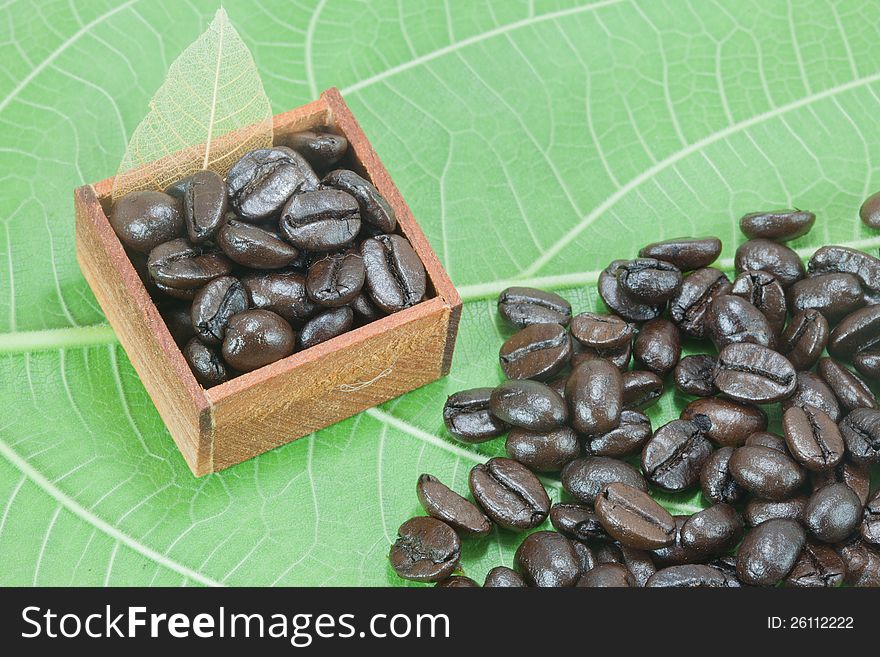 Coffee beans on green color leaf background for design