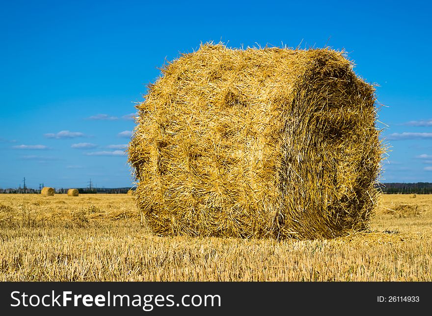 Farm Field With Hay Bales