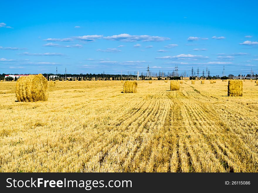 Mown wheat field, large round bales of hay, field of corn in the distance. Mown wheat field, large round bales of hay, field of corn in the distance