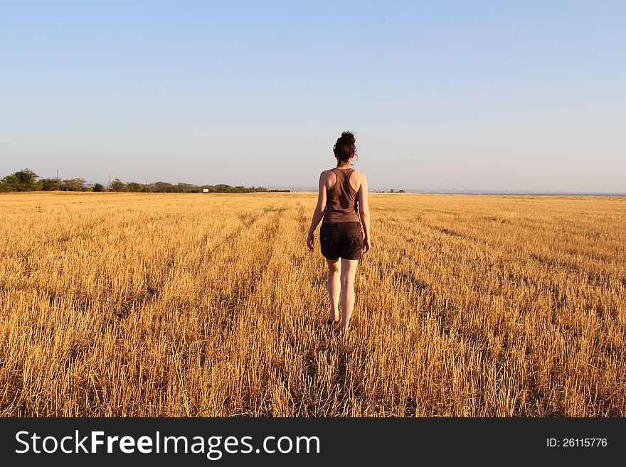 Girl walks on a field of rye. Girl walks on a field of rye