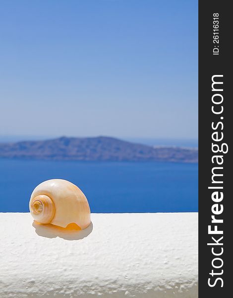 A seashell on a ledge with ocean background. A seashell on a ledge with ocean background