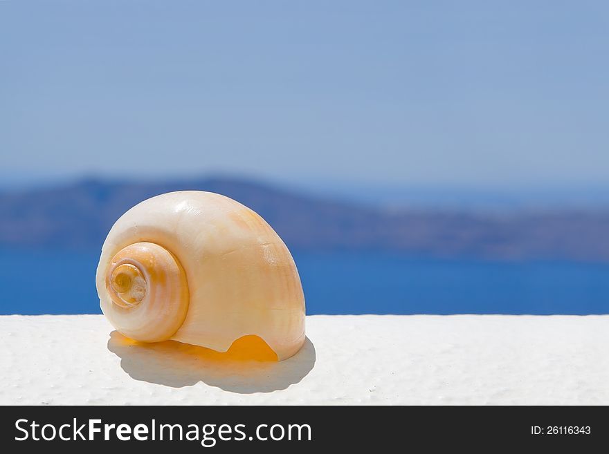 A seashell on a ledge with ocean background. A seashell on a ledge with ocean background