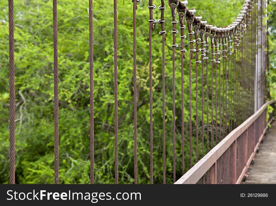 Rope walkway through the treetops in a rain forest. Rope walkway through the treetops in a rain forest