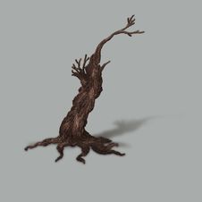 Small Dead Tree Stock Image