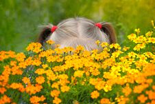Little Girl Behind The Flowers Royalty Free Stock Image