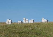 Group Of Beehives In A Pasture Royalty Free Stock Image Group Of Beehives In A Pasture Royalty Free Stock Image