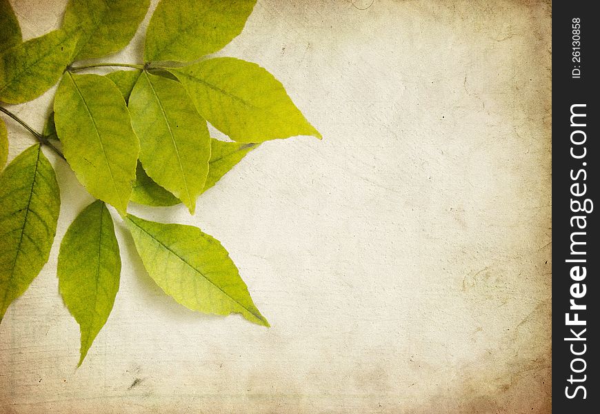 Autumn Green Grunge Leaves Background. Autumn Green Grunge Leaves Background