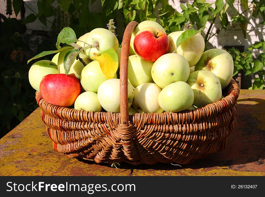 Basket of apples, standing in the apiary, reminds us of holiday