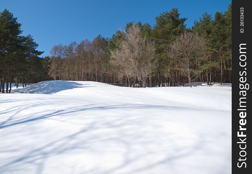 Winter landscape with snow and trees. daylight