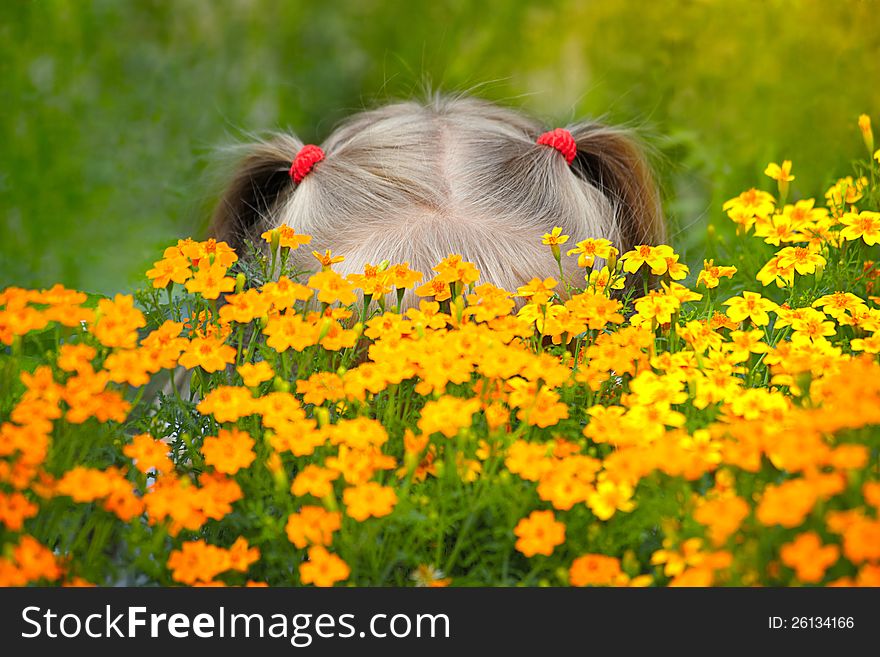 Little girl behind the flowers