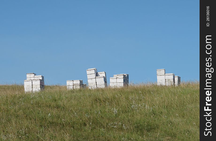 Group of old wooden white beehives in a prairie pasture, against a blue sky. Group of old wooden white beehives in a prairie pasture, against a blue sky.