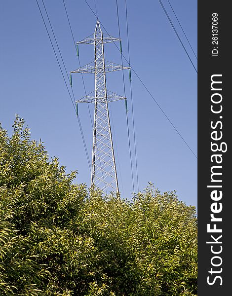 High voltage pylon that protrudes from a dense vegetation. High voltage pylon that protrudes from a dense vegetation