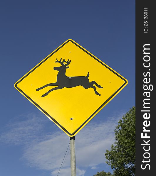 A sign indicating that wildlife could cross the road at anytime. A sign indicating that wildlife could cross the road at anytime