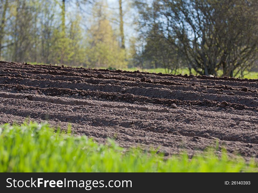 Agricultural soil of a field in the springtime. Selective focus. Agricultural soil of a field in the springtime. Selective focus.