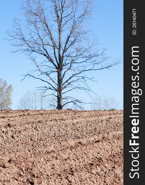 Closeup of a plowed field prepared for new planting with a tree in the background. Selective focus. Closeup of a plowed field prepared for new planting with a tree in the background. Selective focus.