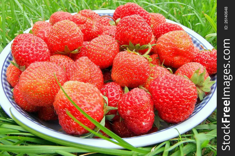ripe strawberries on green grass. ripe strawberries on green grass