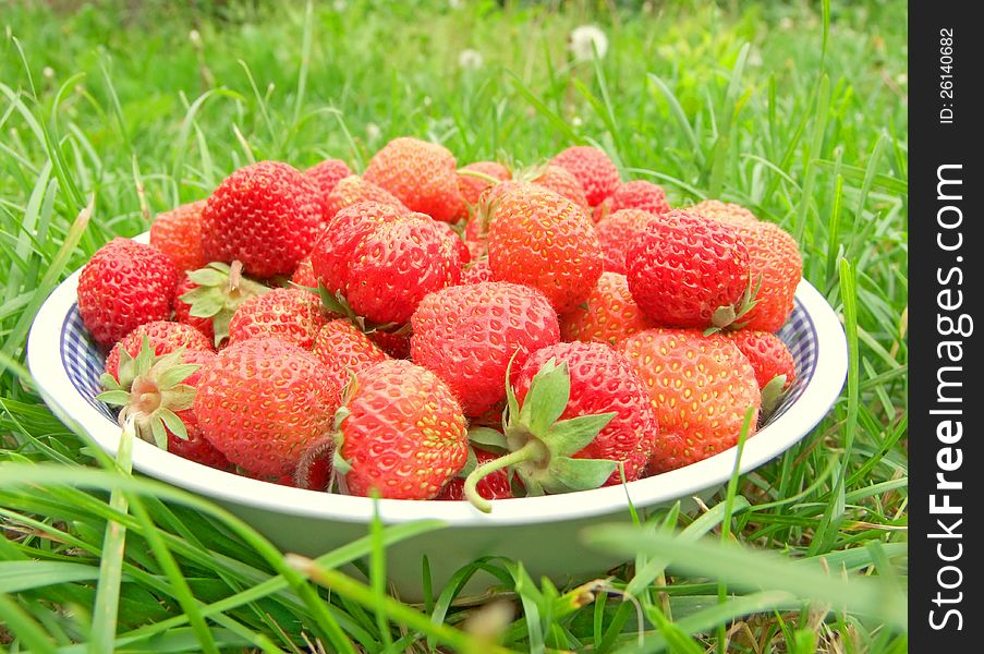 Ripe strawberries on green grass