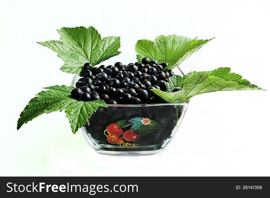 Currants with leaves on white background. Currants with leaves on white background