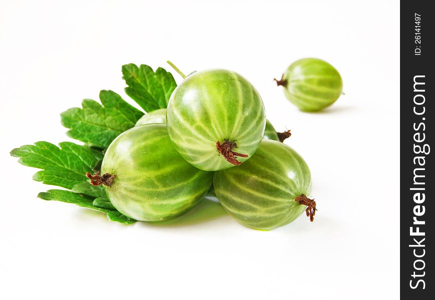 Gooseberry With Leaves