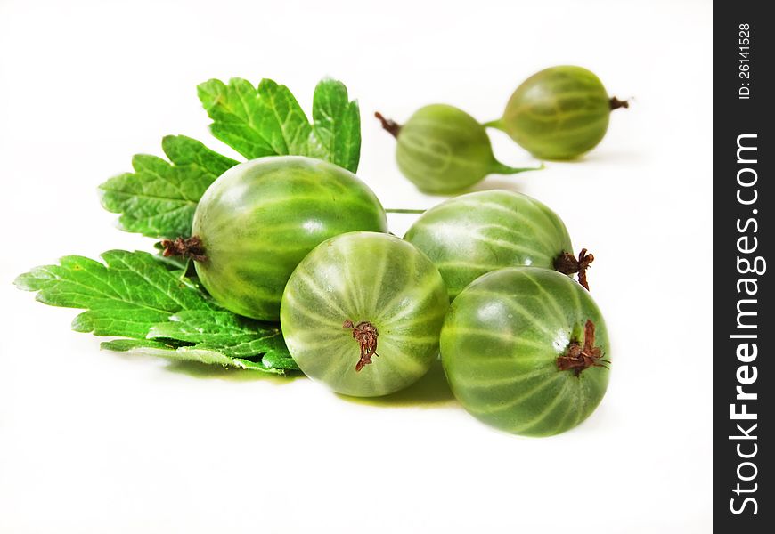 Gooseberry with leaves