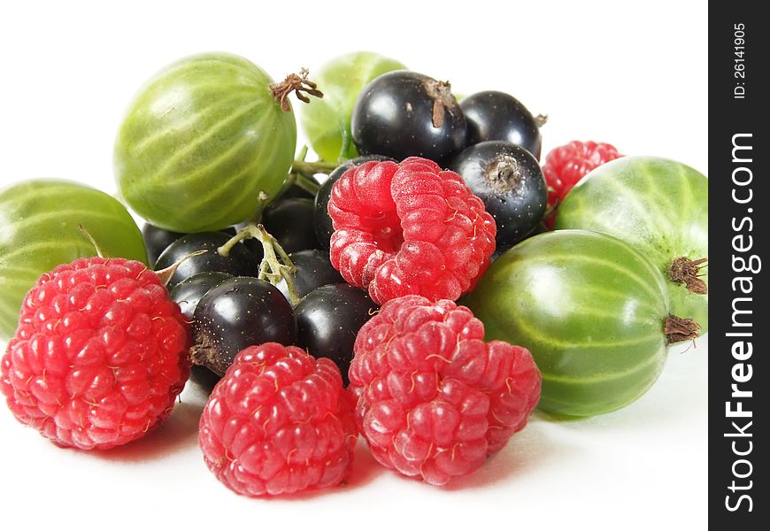 Isolated with berries on a white background. Isolated with berries on a white background