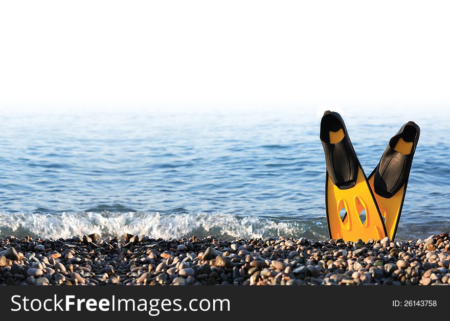 Diving concept. Pair of yellow flippers standing on seashore against sea. Diving concept. Pair of yellow flippers standing on seashore against sea