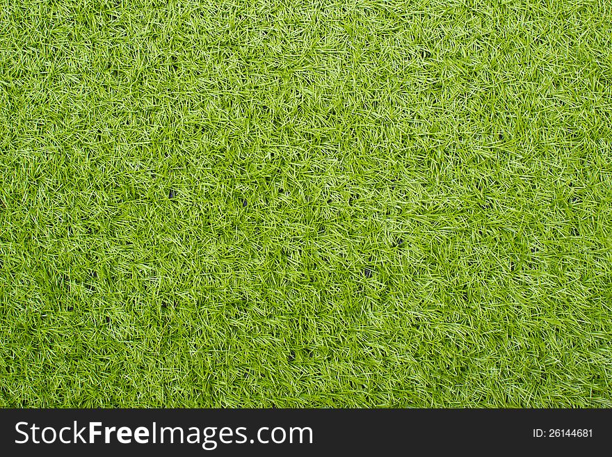 Artificial Green Grass Field Top