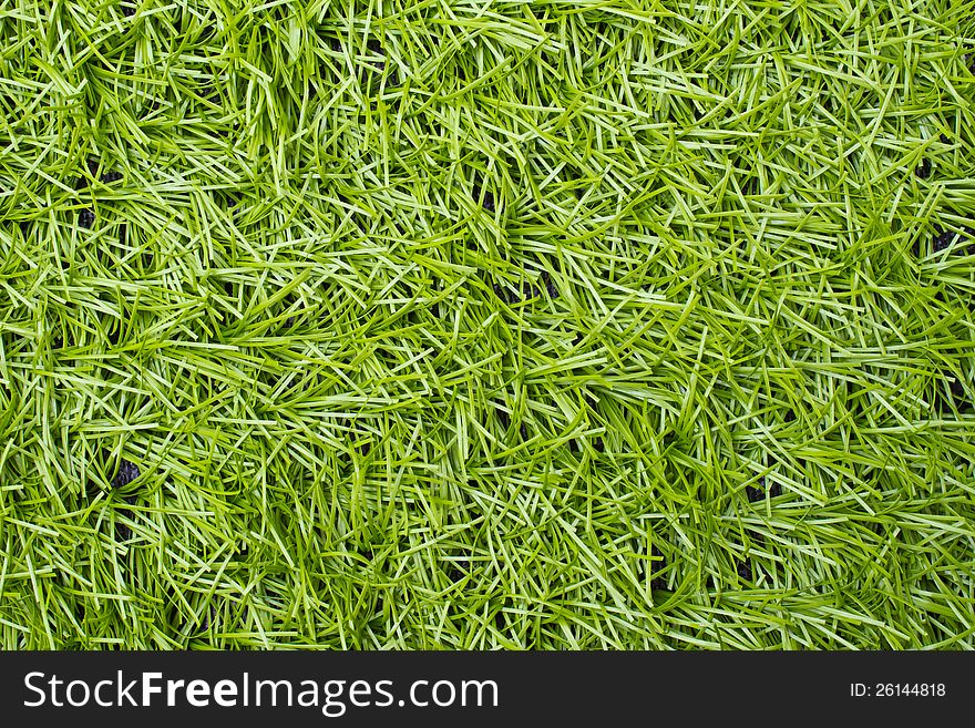Artificial Green Grass Field Top