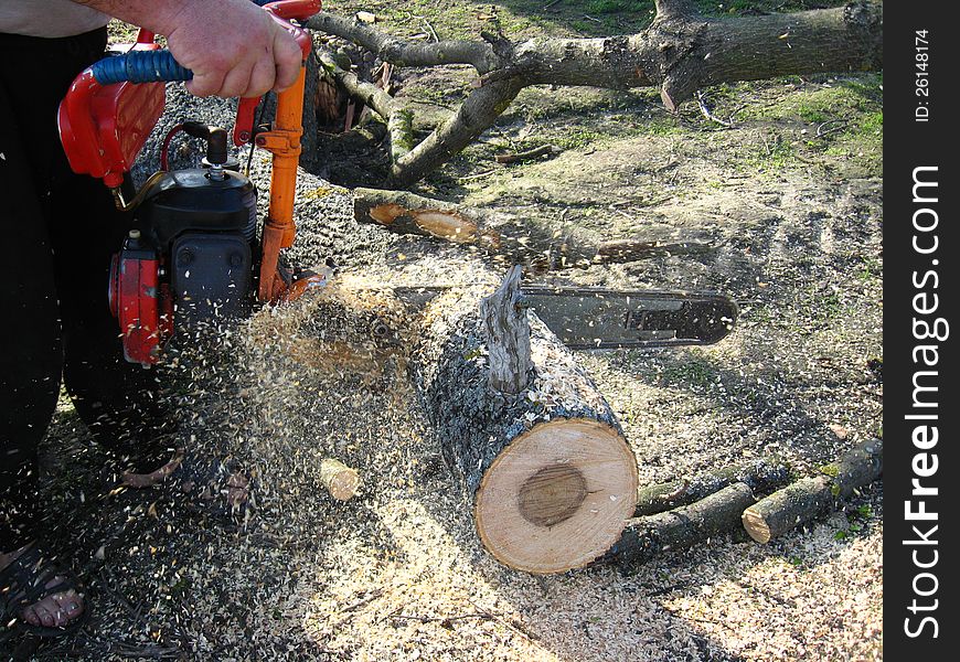 The man working with petrol saw