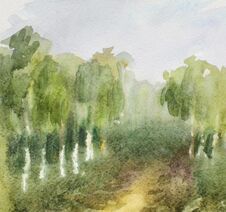 Abstract Watercolor Blurred Landscape With A Country Road Through A Birch Forest. Watercolor Painting. Texture Of Watercolor Paper Royalty Free Stock Photos