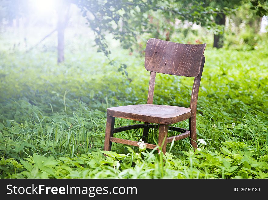 A view of a wooden chair under a huge tree