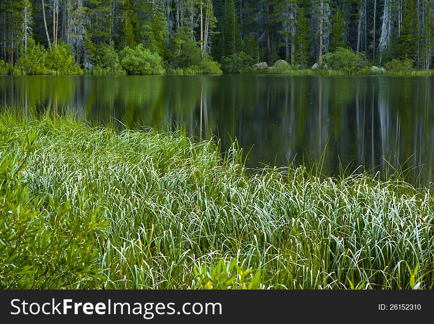 Lush Green Meadow and Lake with glassy reflection