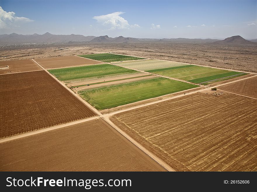 A patch of green where farmland meets the Arizona desert. A patch of green where farmland meets the Arizona desert