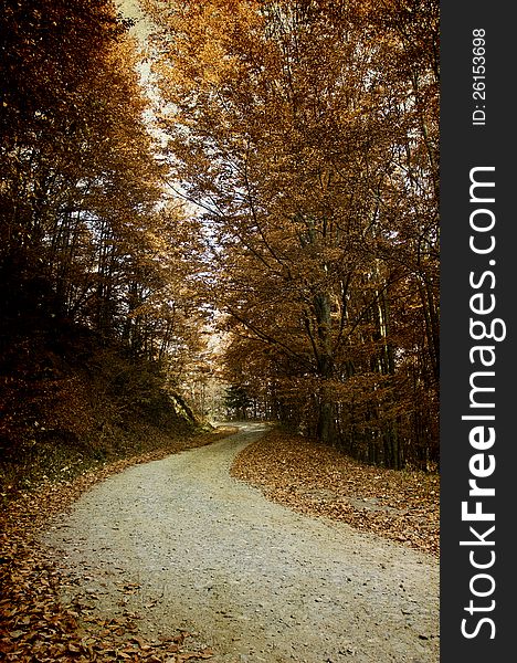 Vintage photo of curving road in autumn forest. Vintage photo of curving road in autumn forest