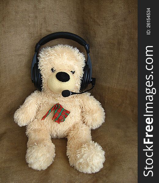 Toy bear in headphones  on the grey background