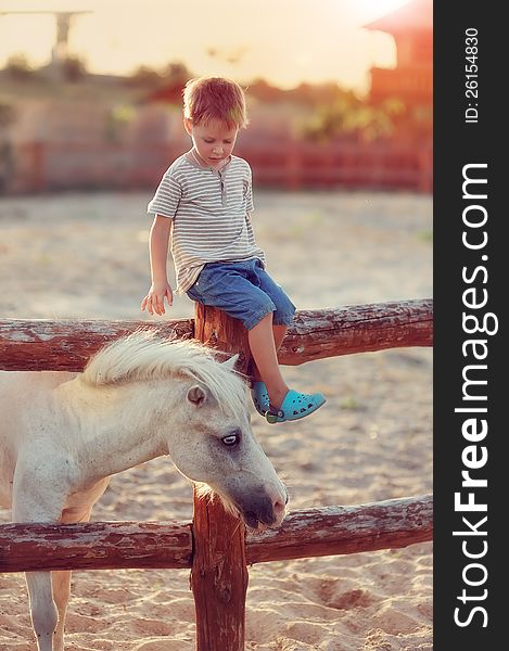 On a farm the boy in jeans with white a pony gets acquainted. On a farm the boy in jeans with white a pony gets acquainted