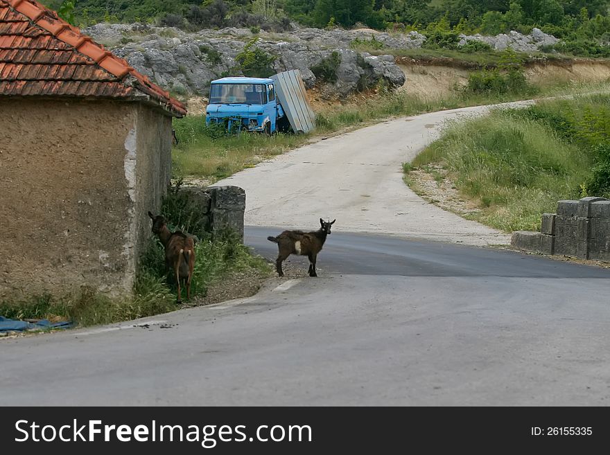 Abandoned truck next to the road in Croatia.