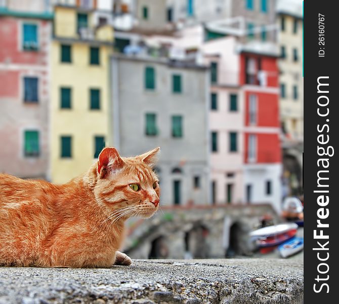 Colors of sunny Italy - famous Cinque terre. Colors of sunny Italy - famous Cinque terre