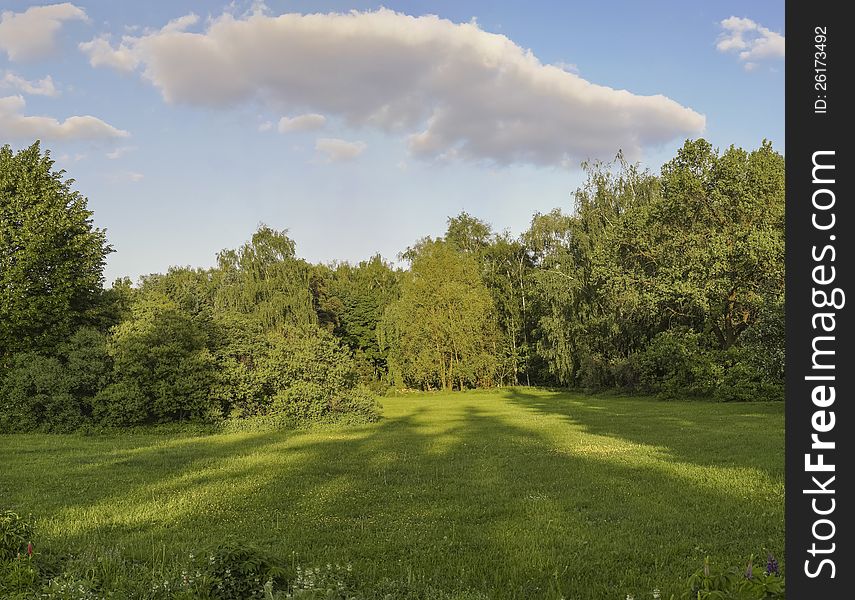 Strizhennyj lawn before wood park. Strizhennyj lawn before wood park.