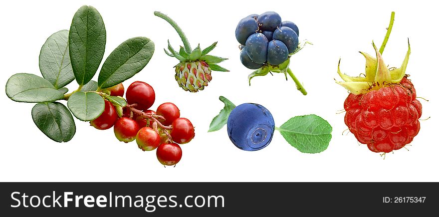 Various Fruit Set