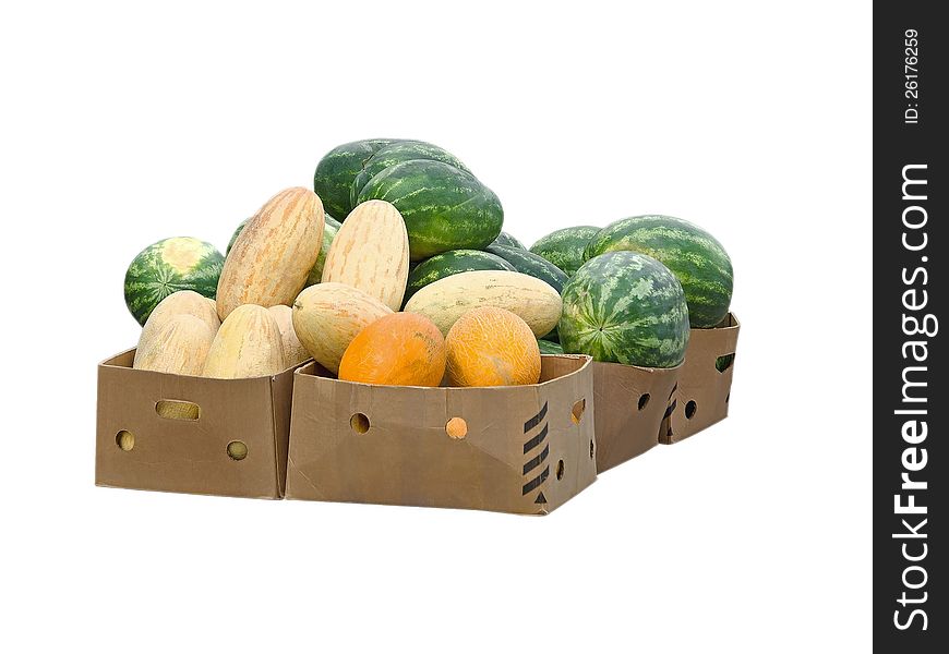 Watermelons and melons in cardboard boxes