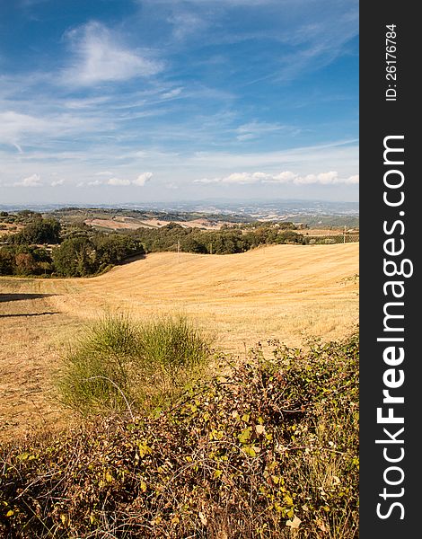 A fields in Tuscany, Italy.