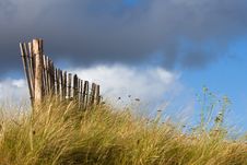 Wooden Fence On The Dunes Stock Photo Wooden Fence On The Dunes Stock Photo