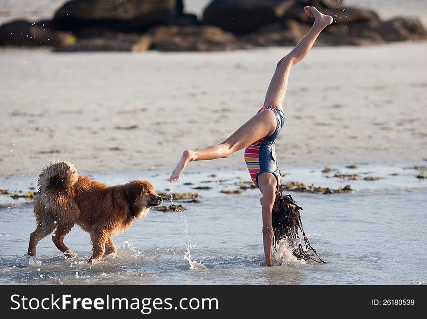 Young girl plays with her Elo (German dog breed) puppy at the beach and makes a handstand. Young girl plays with her Elo (German dog breed) puppy at the beach and makes a handstand