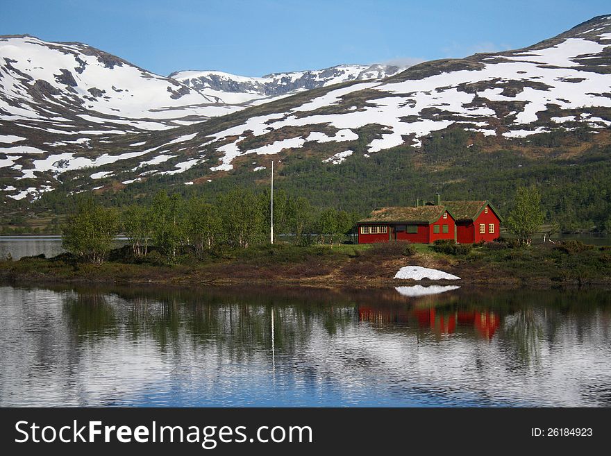 Norwegian Fjord