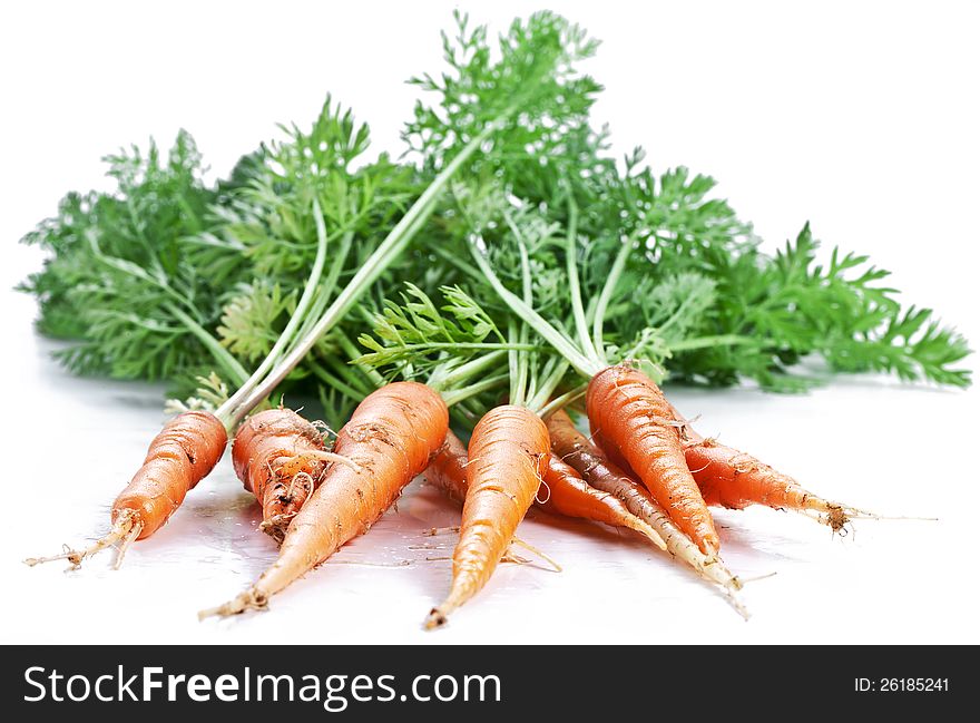 Carrots With Leaves