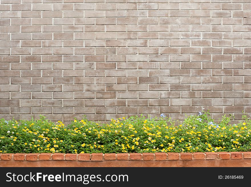 Brick wall background and flowers. Brick wall background and flowers