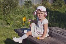 Portrait Of Girl &x28;2 Age&x29; With Flower Royalty Free Stock Photography Portrait Of Girl &x28;2 Age&x29; With Flower Royalty Free Stock Photography